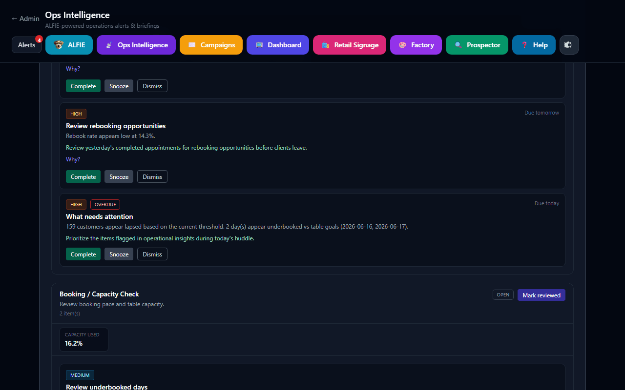 Ops Intelligence Daily Workflow tab